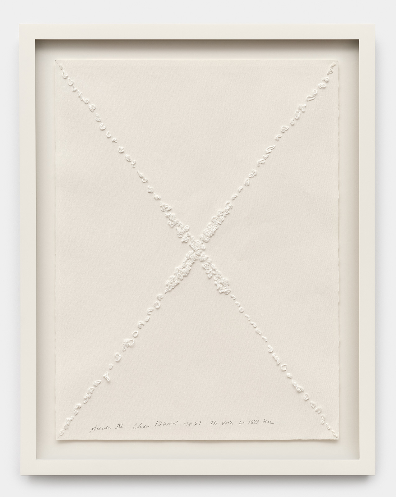 The lyric monuments of Barbara Chase-Riboud