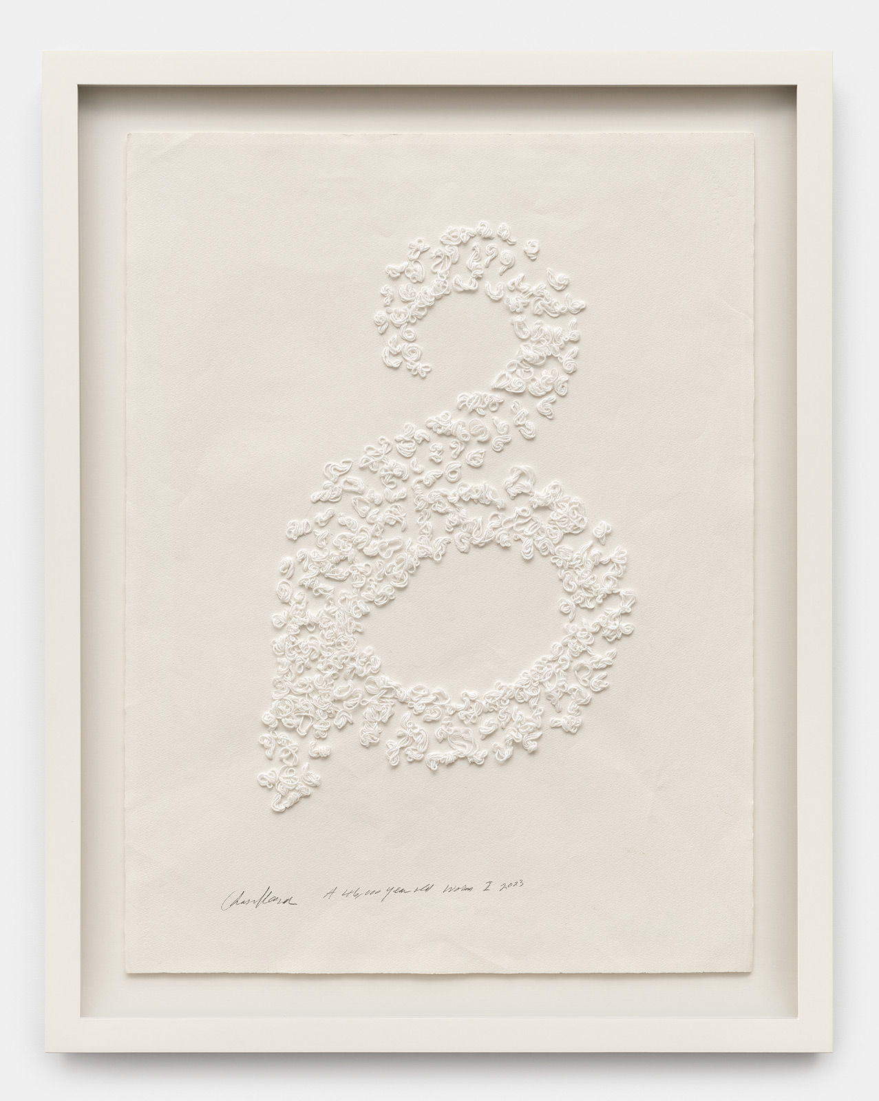 The lyric monuments of Barbara Chase-Riboud