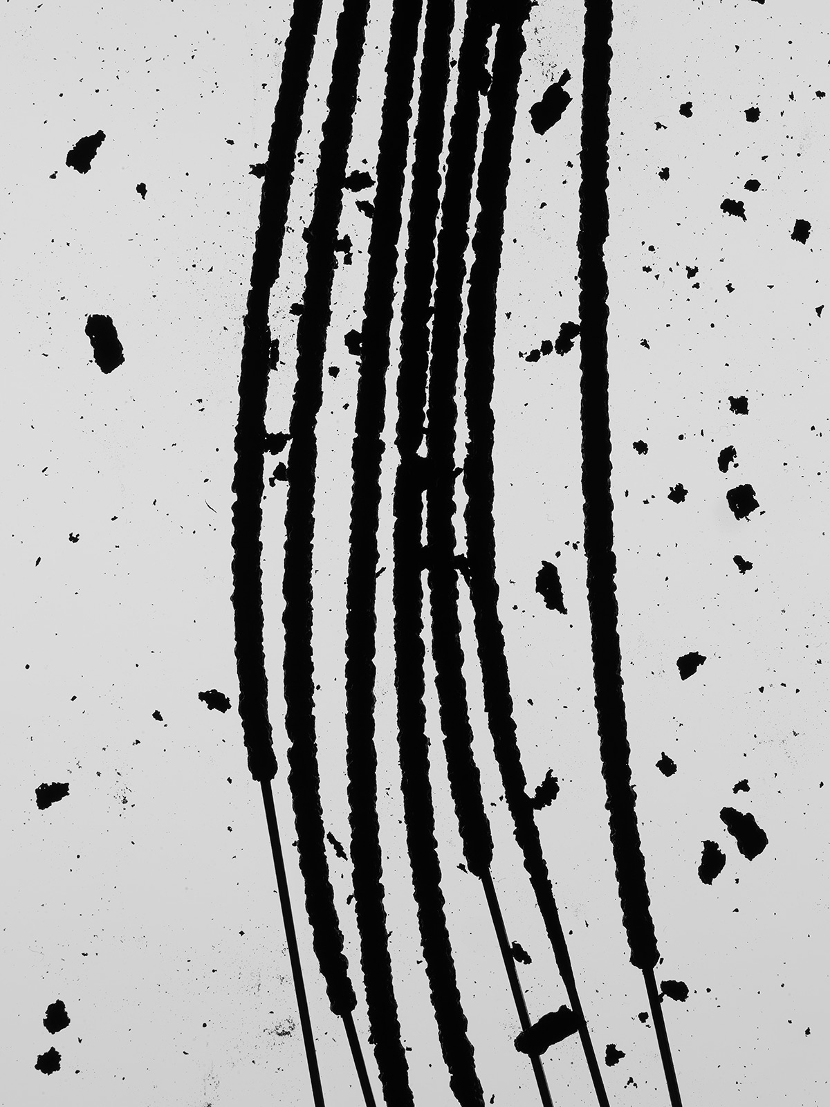 What if the artistic impulse is wisdom from the future?