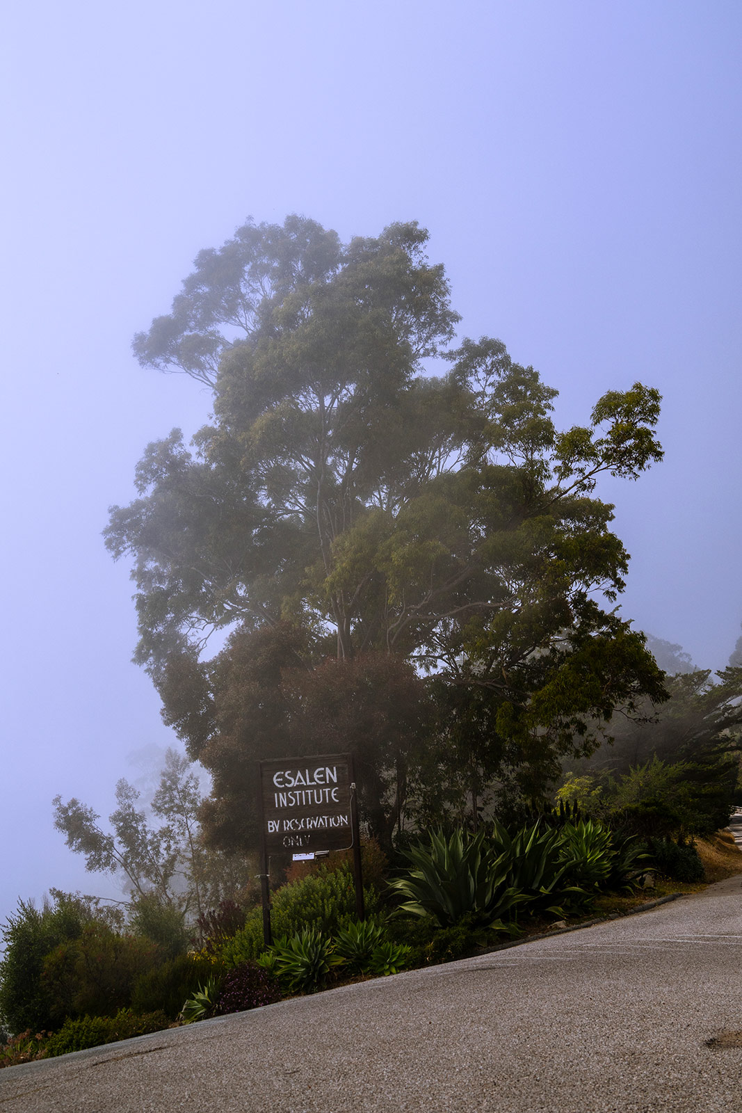 From sacred hot springs to the Esalen Institute, where does the ‘mystical-type experience’ emerge in Big Sur?