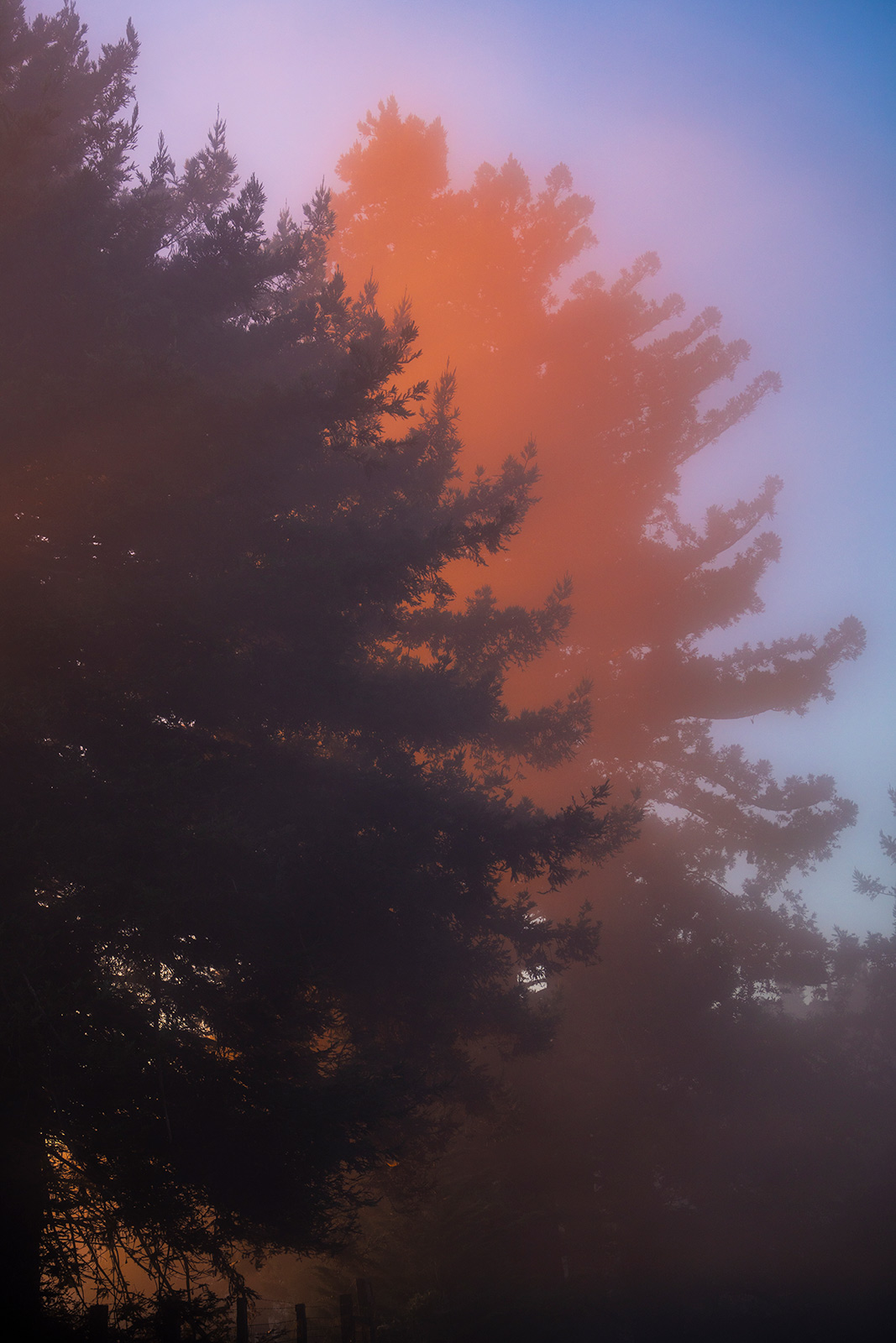 From sacred hot springs to the Esalen Institute, where does the ‘mystical-type experience’ emerge in Big Sur?