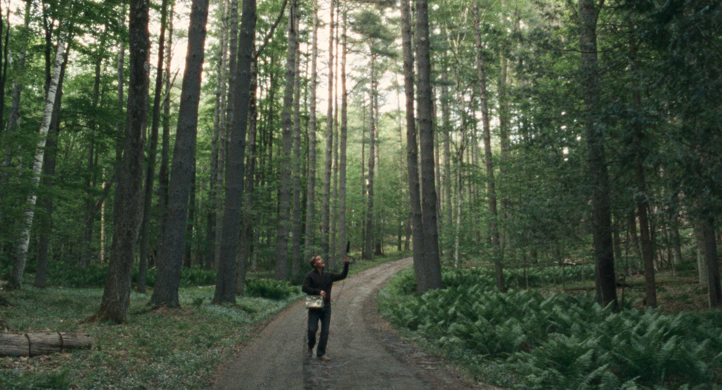 Harley Chamandy’s ‘Allen Sunshine’ is a meditation on the quiet beauty of nature