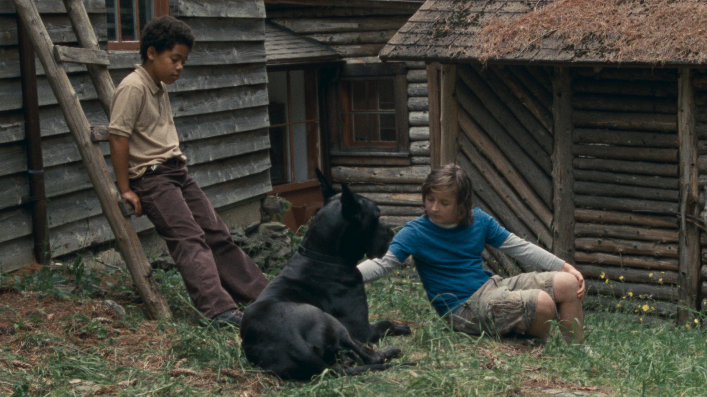 Harley Chamandy’s ‘Allen Sunshine’ is a meditation on the quiet beauty of nature