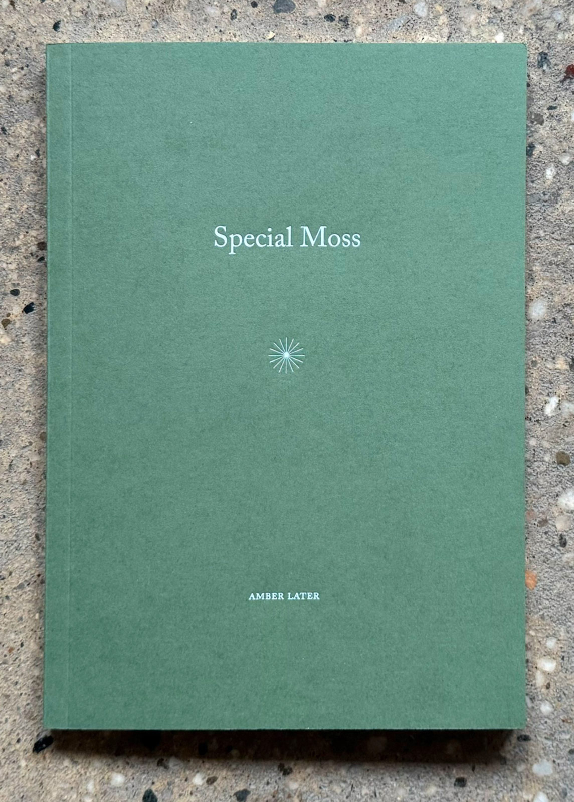 Amber Later’s ‘Special Moss’ mines the slippages of poetry and prose
