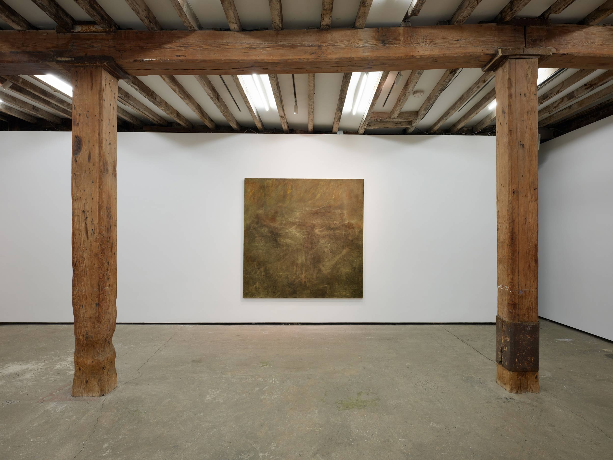 Amanita expands close to home