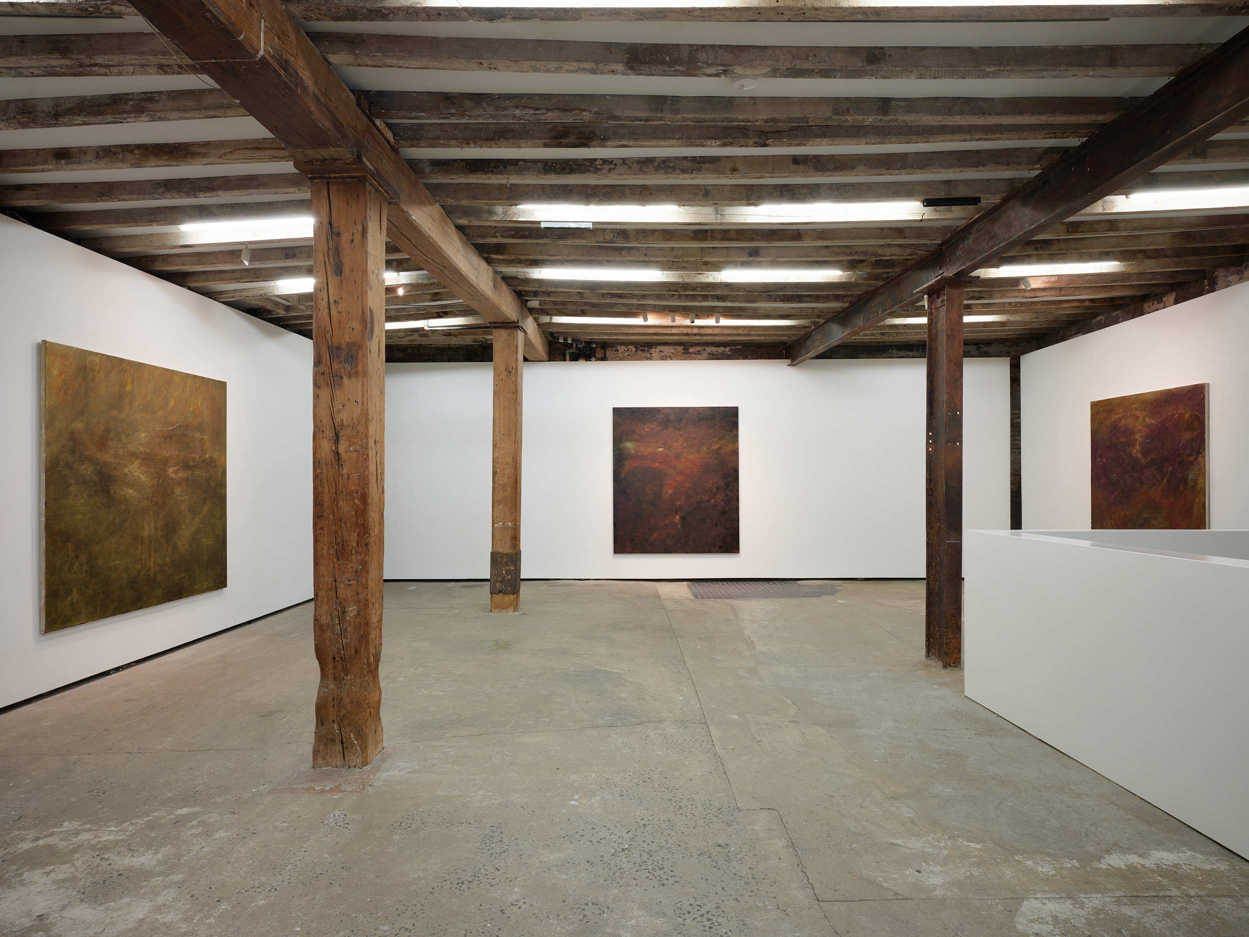 Amanita expands close to home