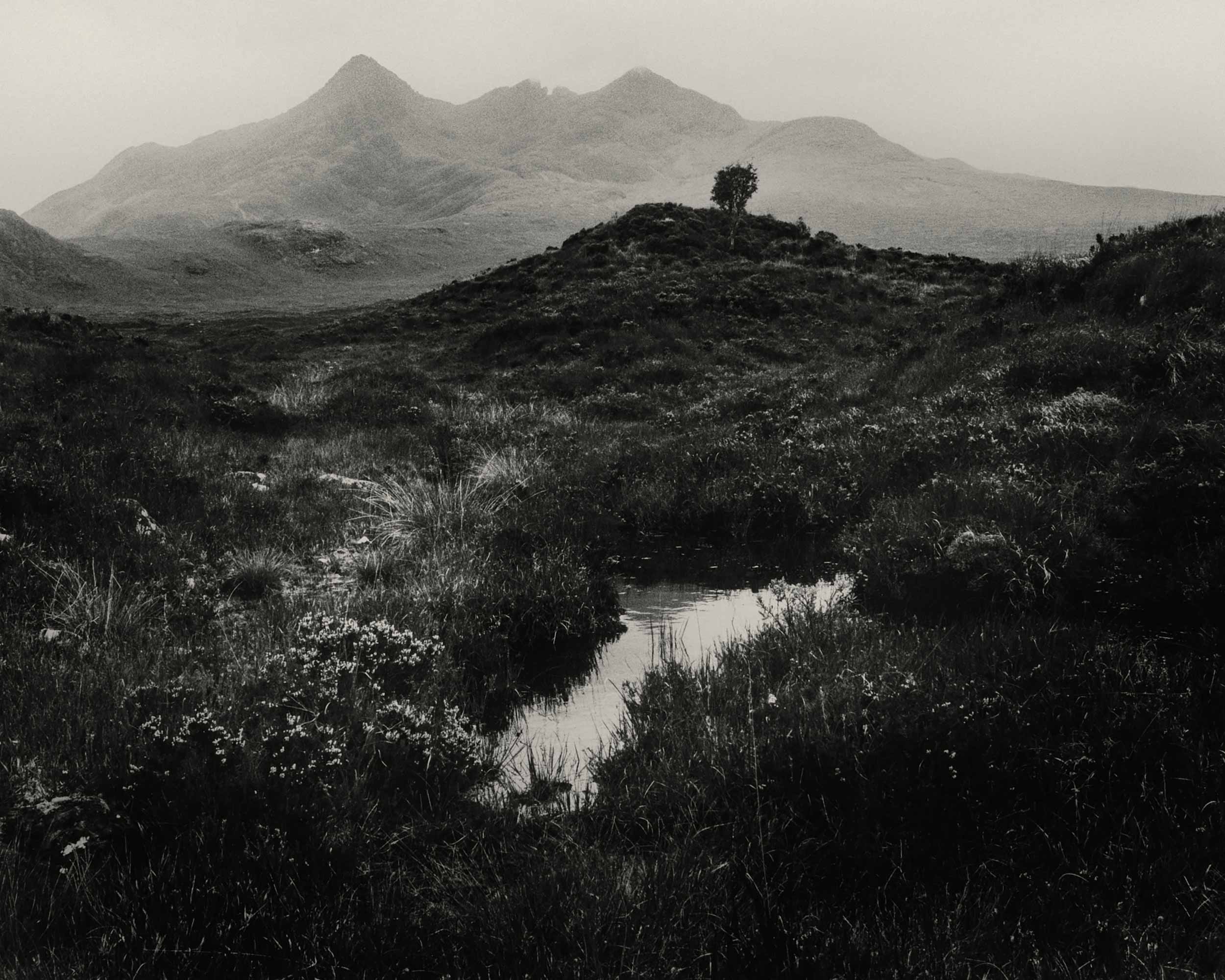 Adam Friedlander’s ‘As the Crow Flies’ explores the emotional weight of Scottish landscapes