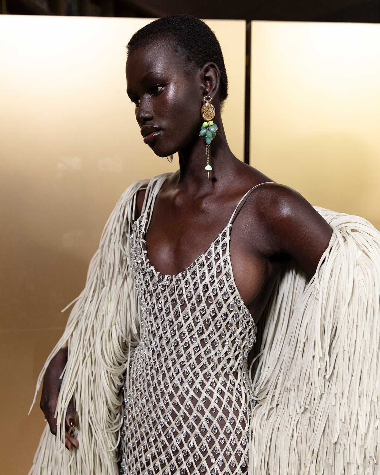 Schiaparelli’s flight beyond the sun