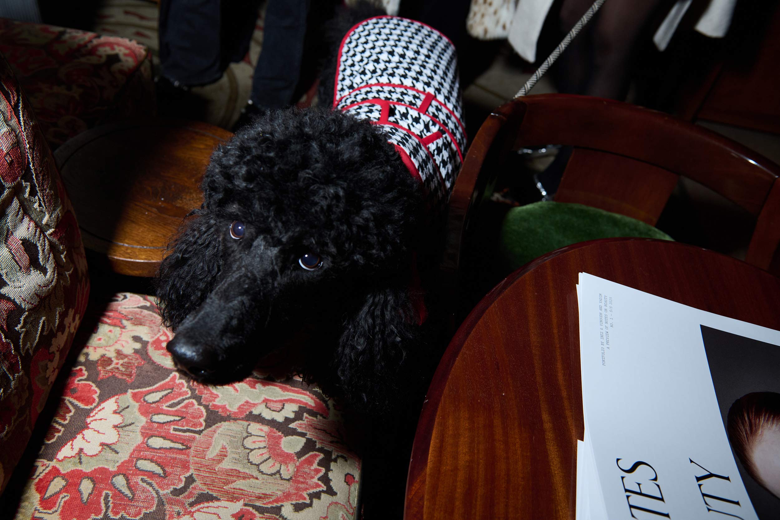 Celebrating the announcement of Notes on Beauty with an intimate Valentine’s Day cocktail at the Swan Room