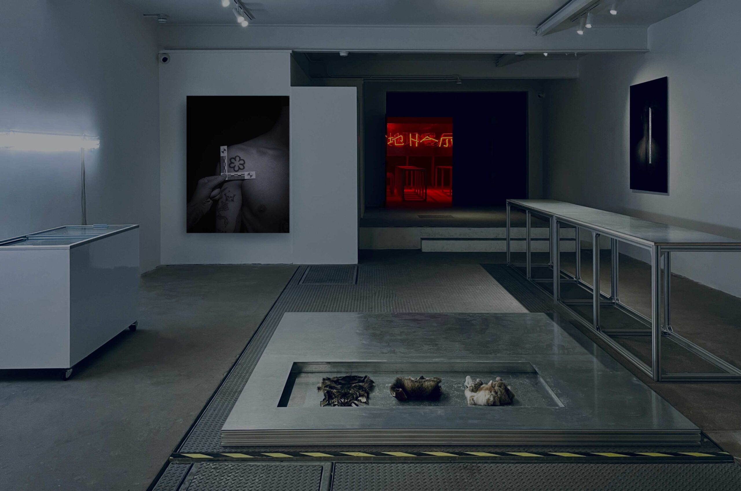 The taste of taboo: Petr Davydtchenko’s roadkill delicacies