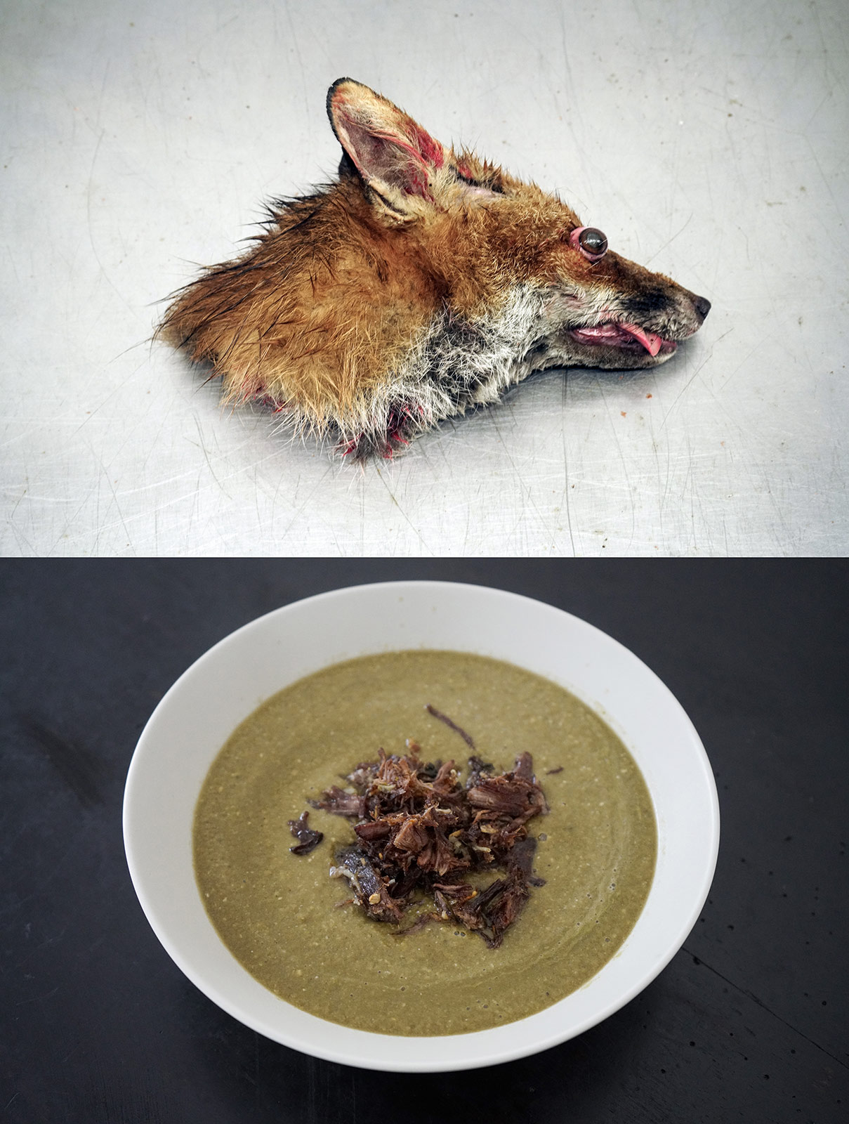 The taste of taboo: Petr Davydtchenko’s roadkill delicacies