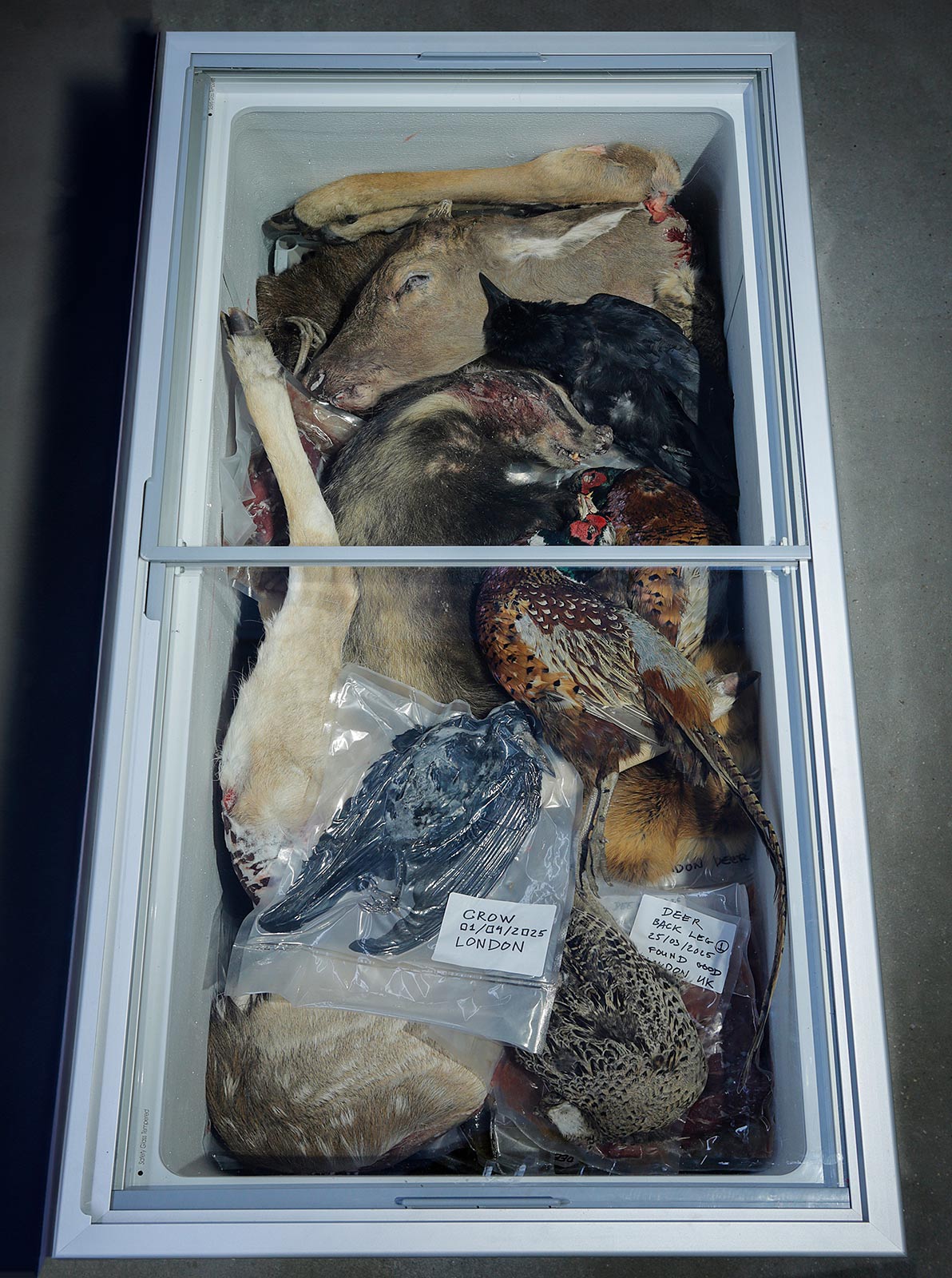 The taste of taboo: Petr Davydtchenko’s roadkill delicacies