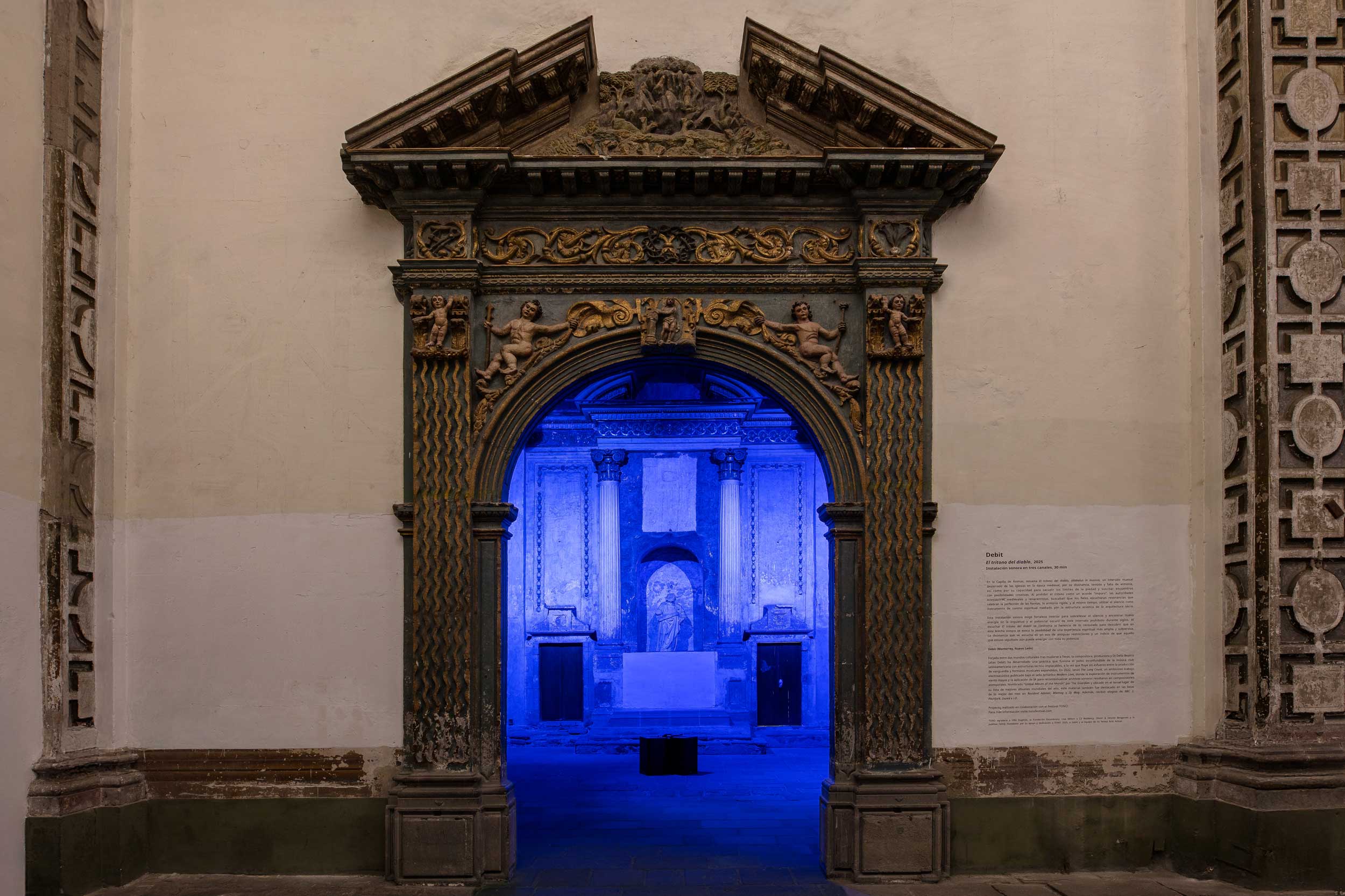 Beyond the festival: meet the artists behind TONO 2025