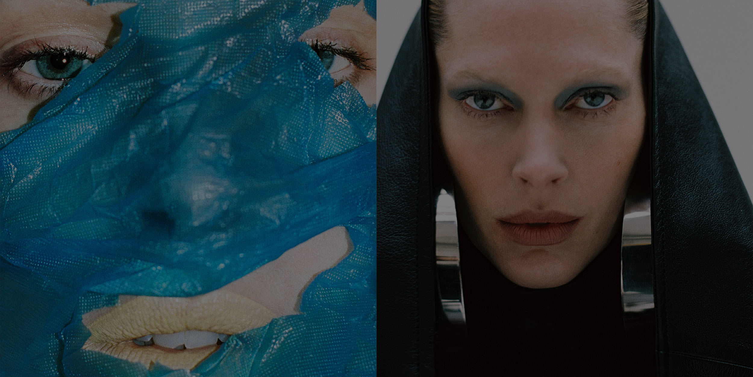 The best theory of beauty is its history