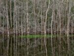 Photography at the edge of catastrophe