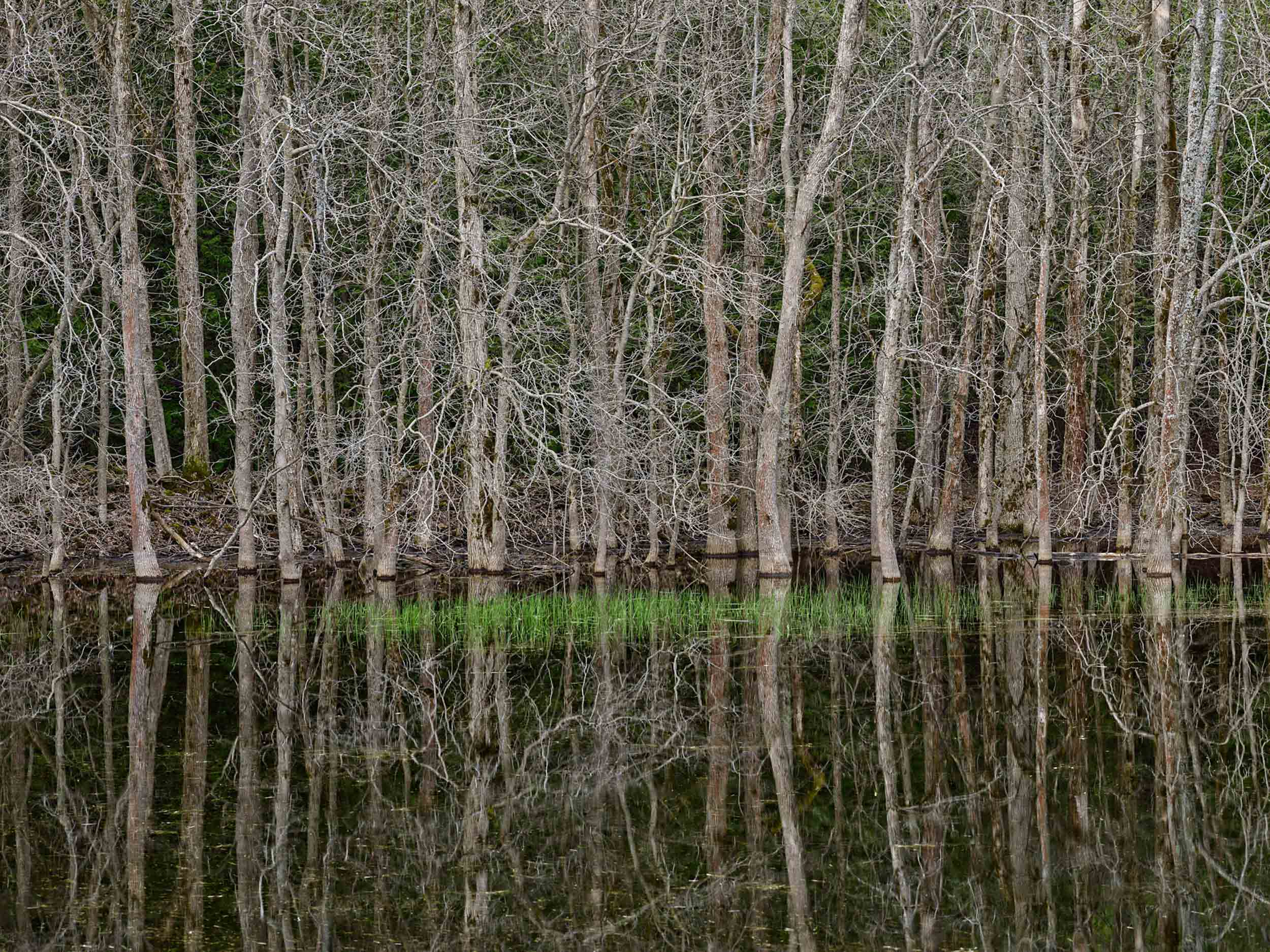 Photography at the edge of catastrophe